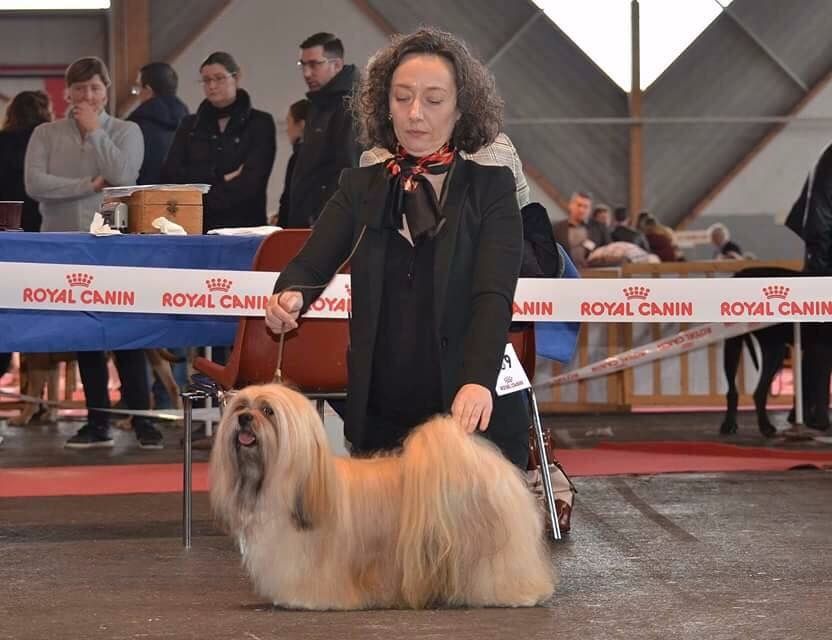 CH. F. lux. inter. léon ma rendi de Koempfer