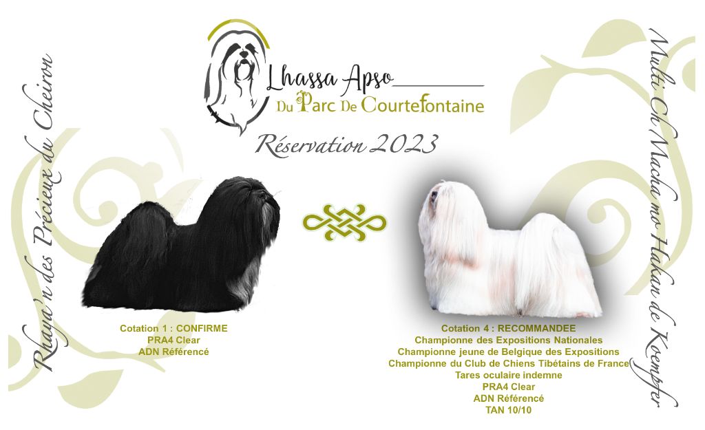 2023 : Rhaya'n et Macha